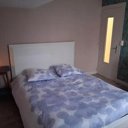 Lit Double Pres De La Loire منزل للإقامة La Riotiere